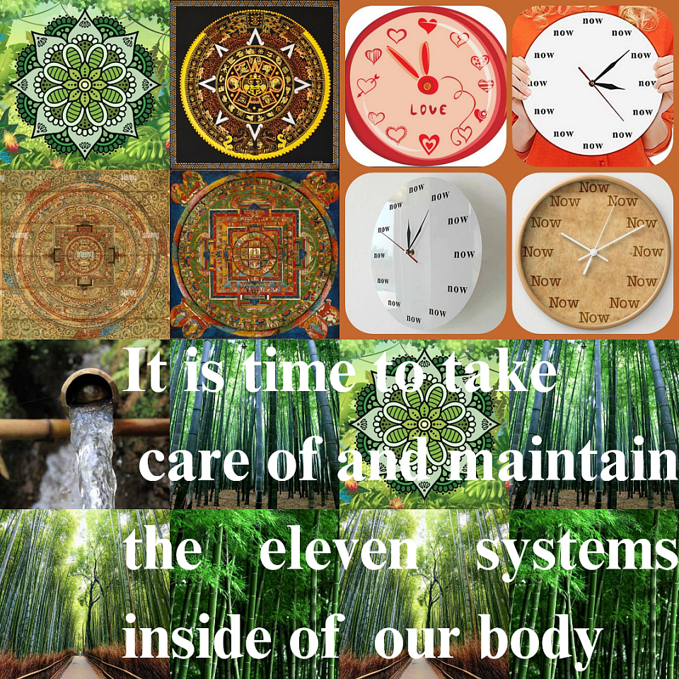 i know the seven systems